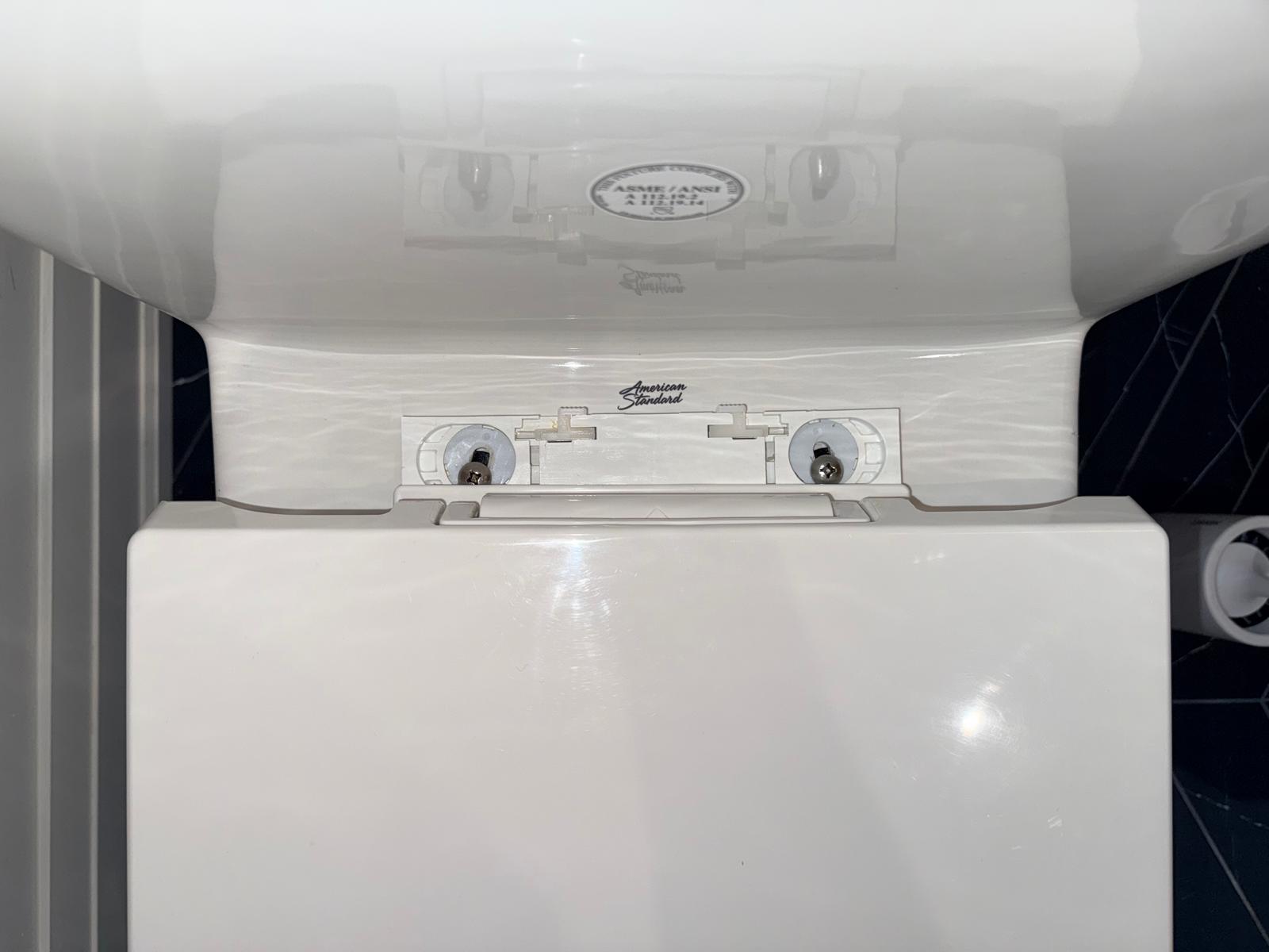 Toilet Detail after cleaning