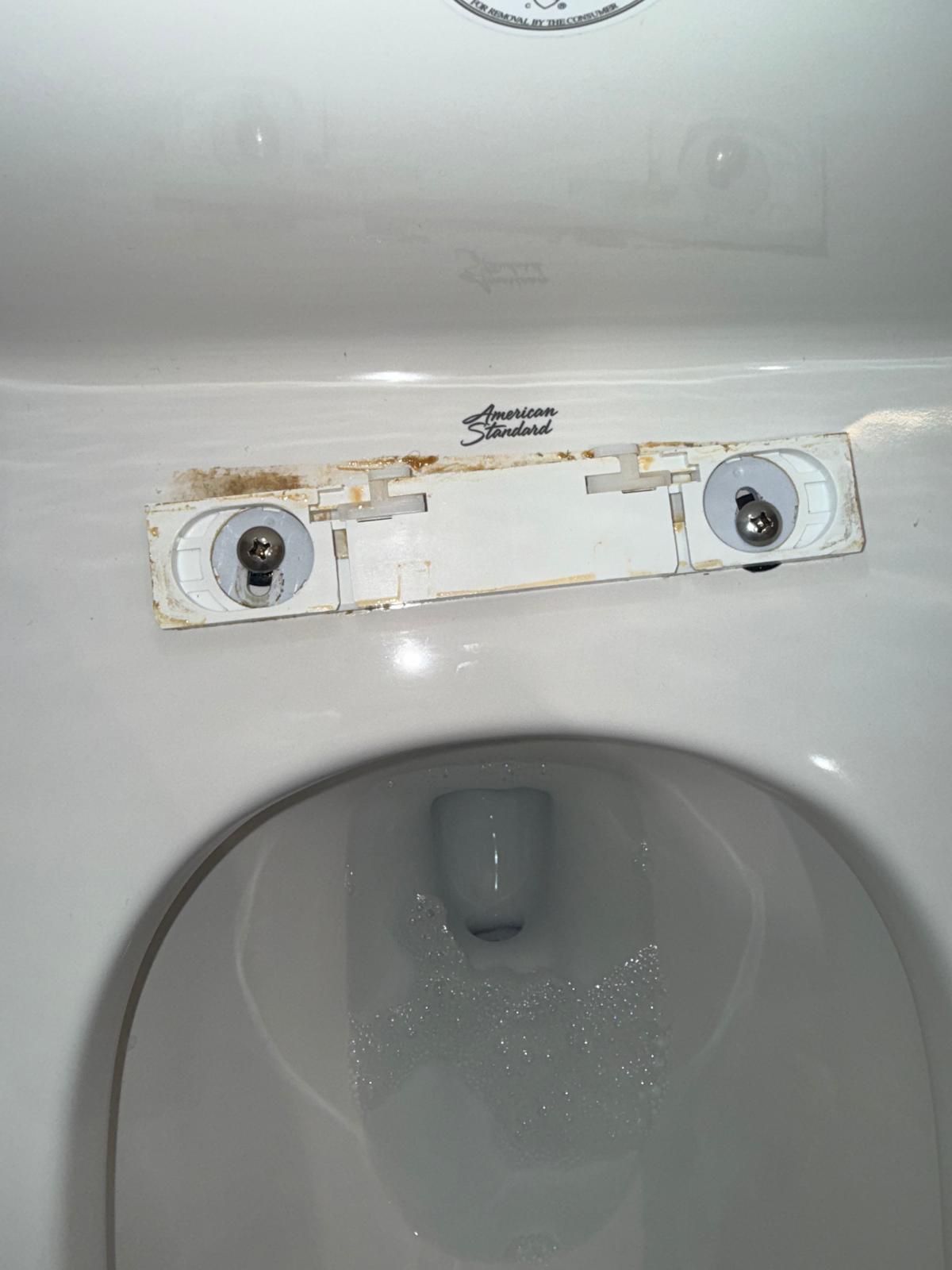 Toilet Detail before cleaning